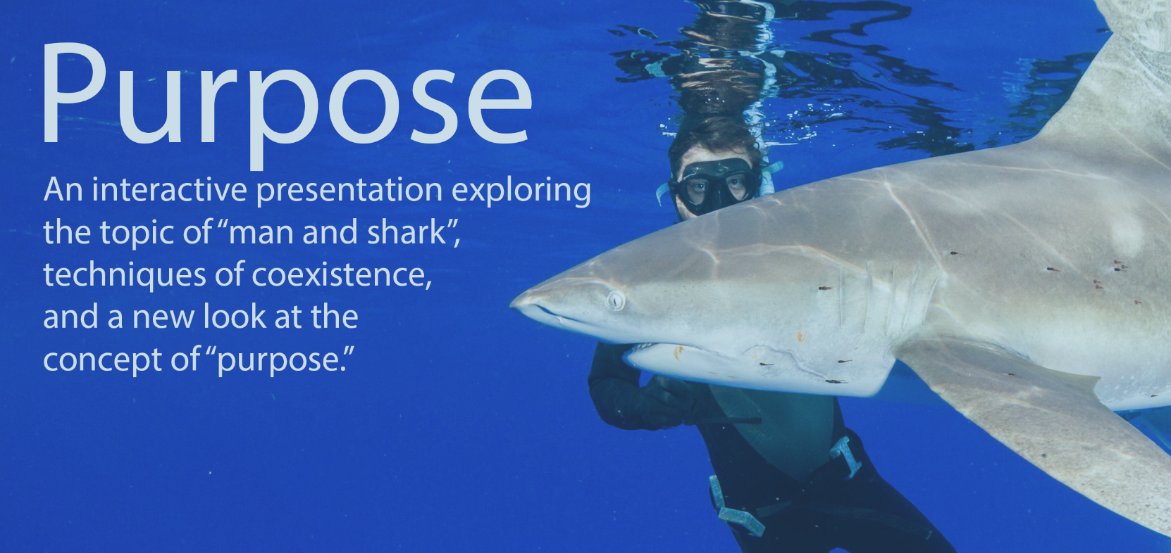 'Purpose' features highlights of Skyler Thomas's shark footage over the last twenty years and twenty shark species